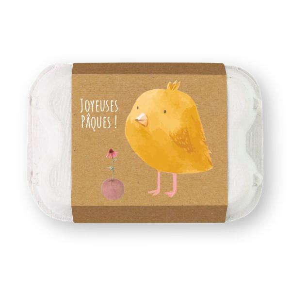 Blossombs - Œufs de Pâques à planter - Poussin - 6 bombes à graines - BIO - face recto